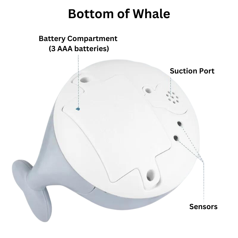 Whale Sprinkler Bath Toy- FREE Shipping