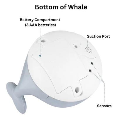 Whale Sprinkler Bath Toy- FREE Shipping